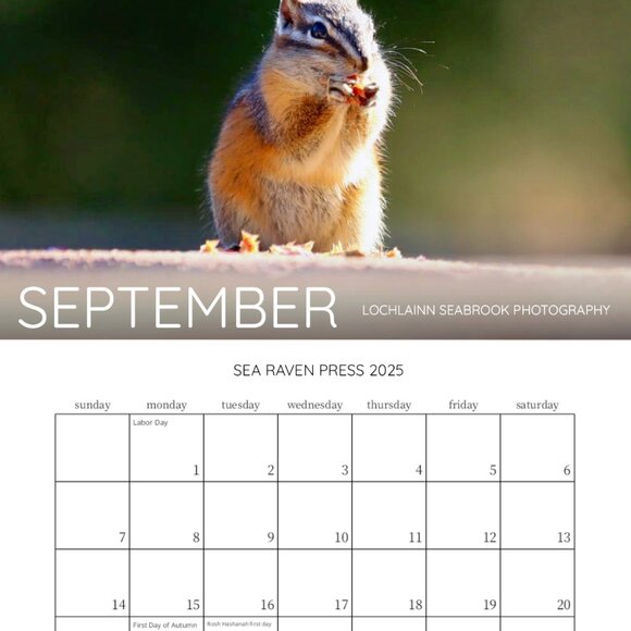 Mini 2025 Rocky Mountain Custom Wildlife Calendar For Small Spaces 11.5" x 8" - Picture 10 of 13